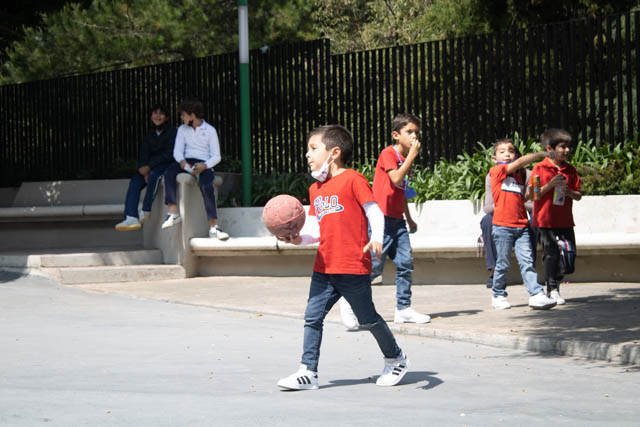 Ir a la Siguiente Foto