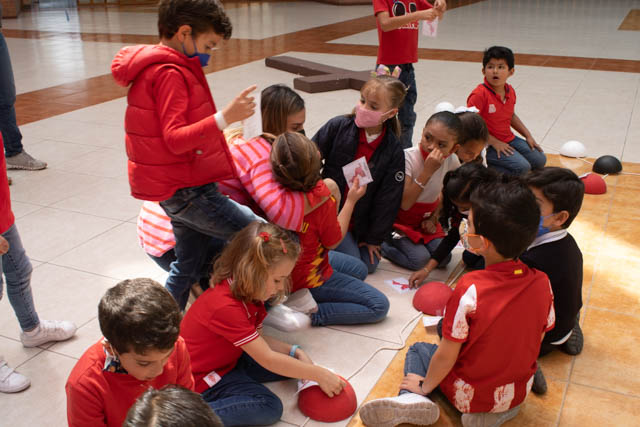 Ir a la Siguiente Foto