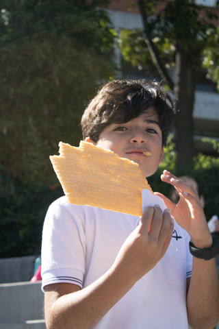 Ir a la Siguiente Foto