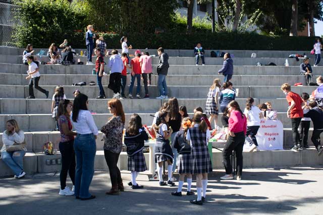 Ir a la Siguiente Foto