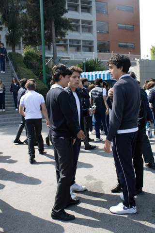 Ir a la Siguiente Foto