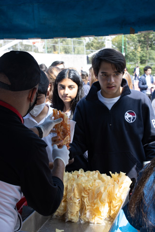 Ir a la Siguiente Foto