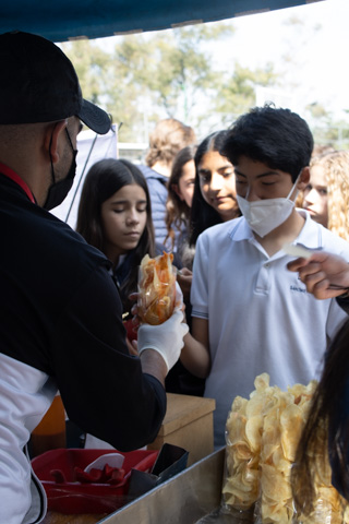 Ir a la Siguiente Foto