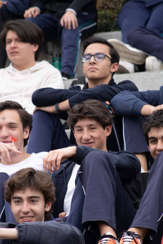 Ir a la Siguiente Foto