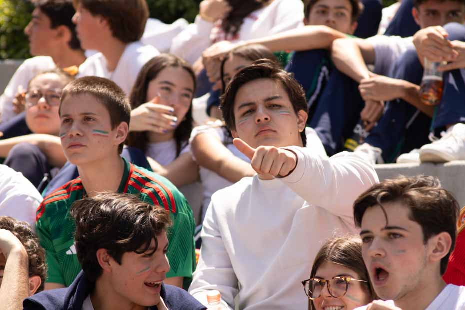 Ir a la Siguiente Foto