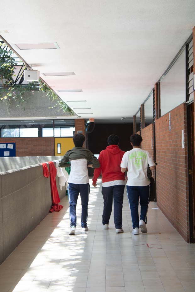 Ir a la Siguiente Foto