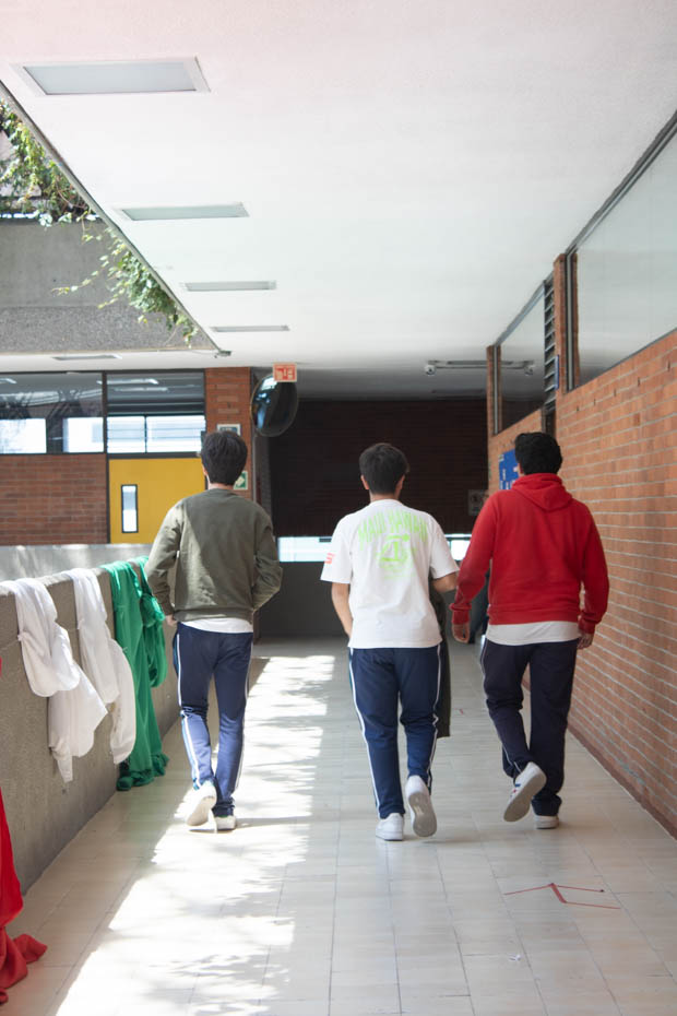 Ir a la Siguiente Foto