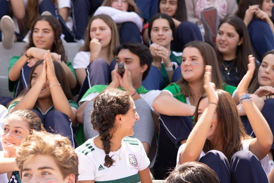 Ir a la Siguiente Foto