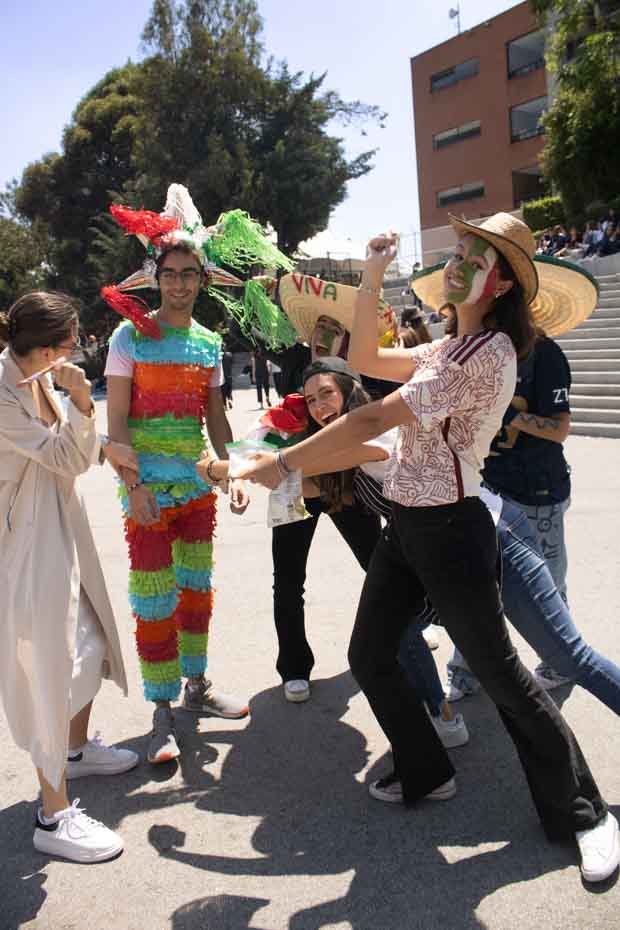 Ir a la Siguiente Foto