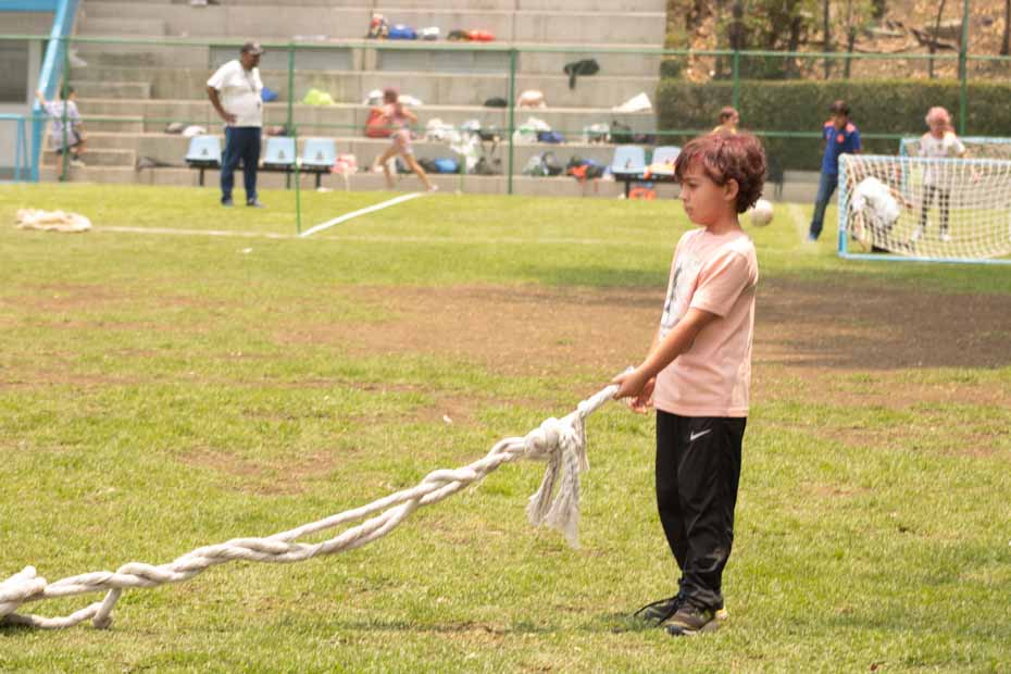 Ir a la Siguiente Foto