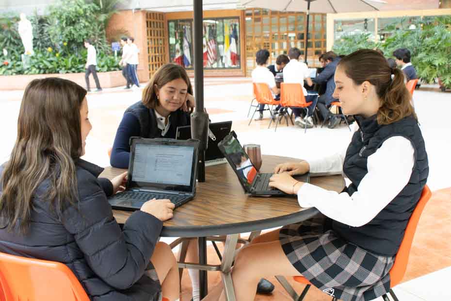 Ir a la Siguiente Foto