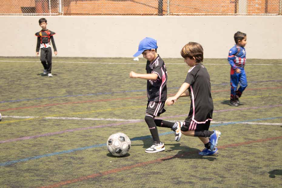 Ir a la Siguiente Foto