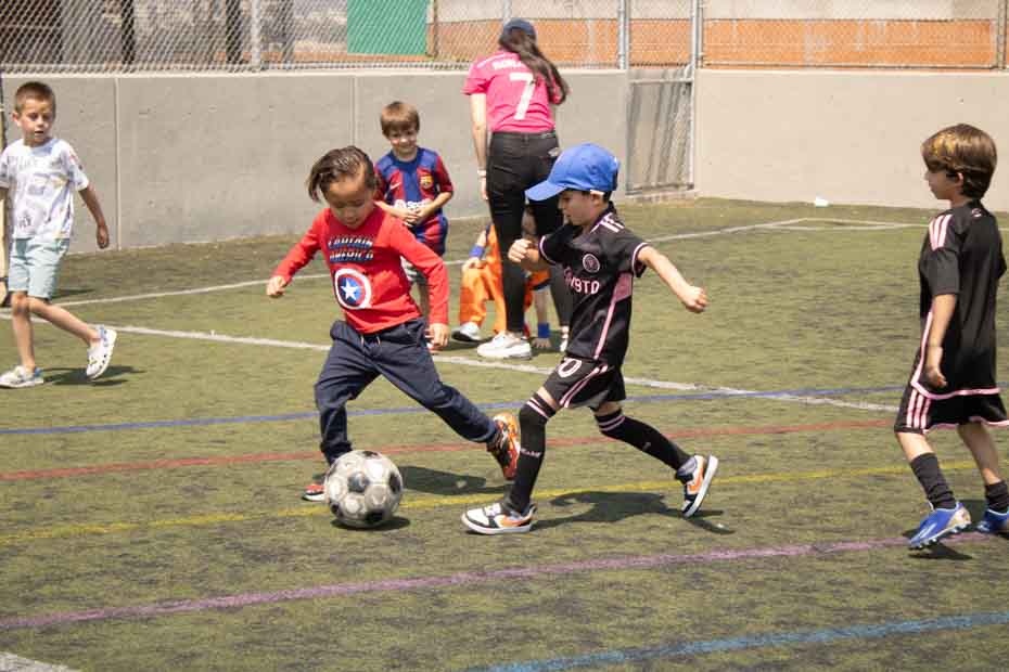 Ir a la Siguiente Foto