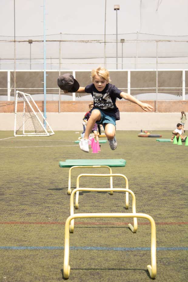 Ir a la Siguiente Foto