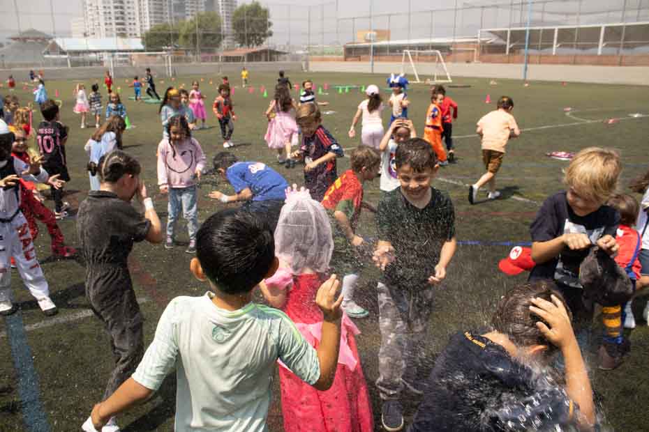 Ir a la Siguiente Foto