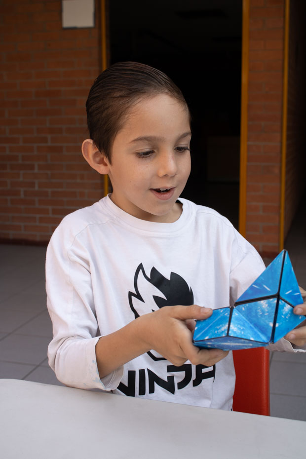 Ir a la Siguiente Foto