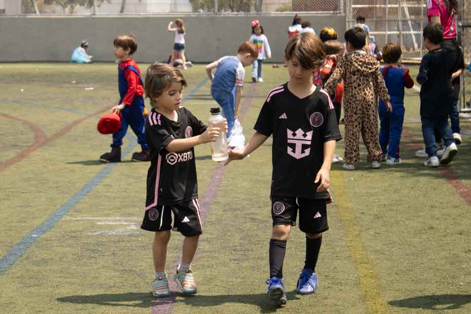 Ir a la Siguiente Foto