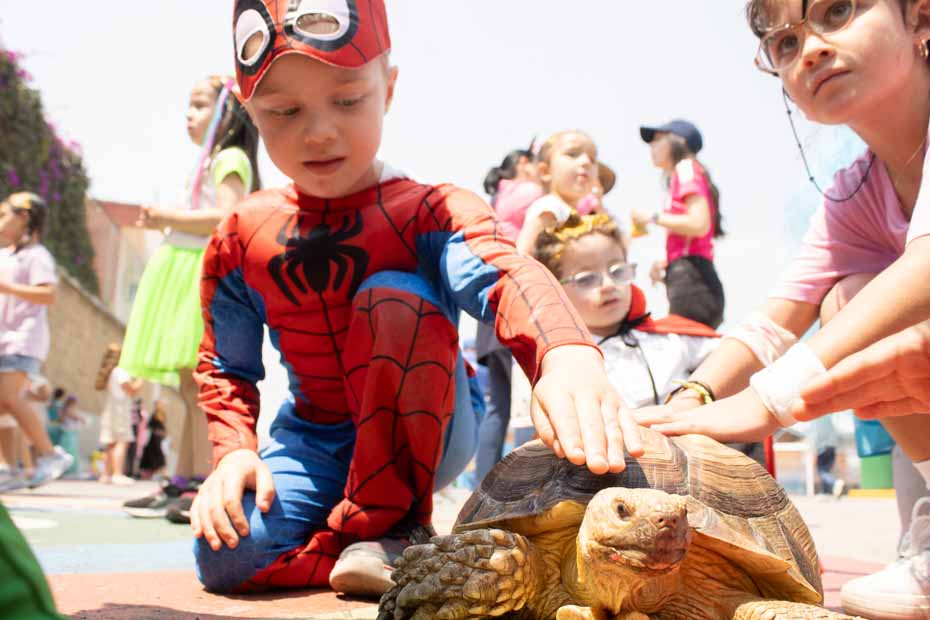 Ir a la Siguiente Foto