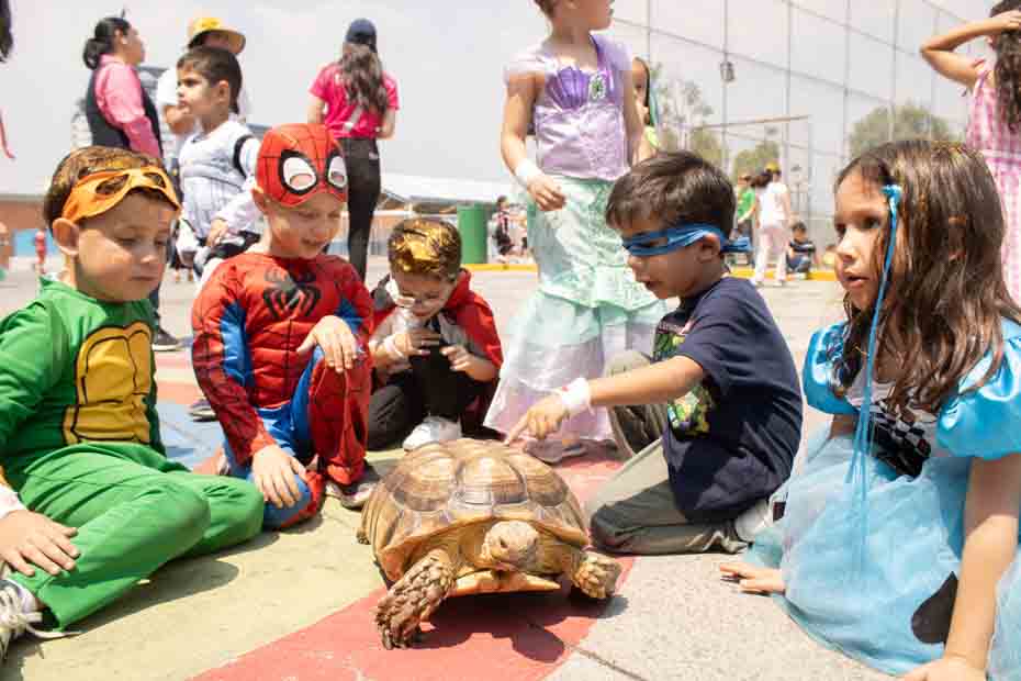 Ir a la Siguiente Foto