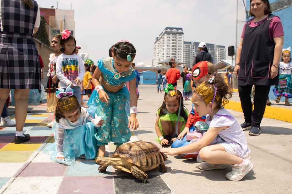 Ir a la Siguiente Foto