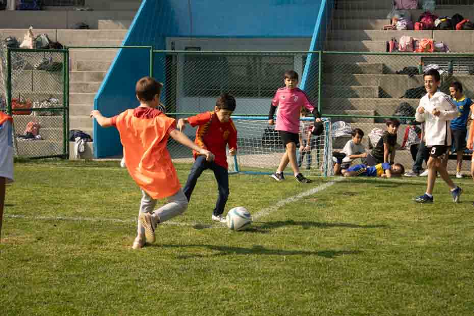 Ir a la Siguiente Foto