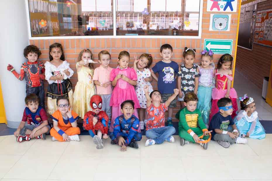 Ir a la Siguiente Foto