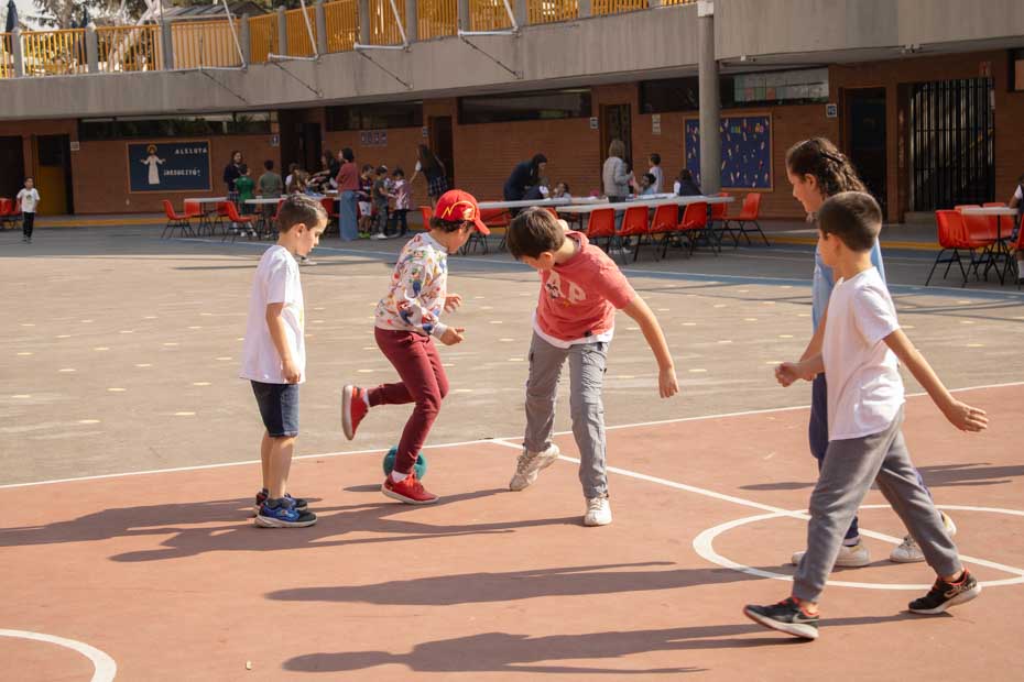 Ir a la Siguiente Foto