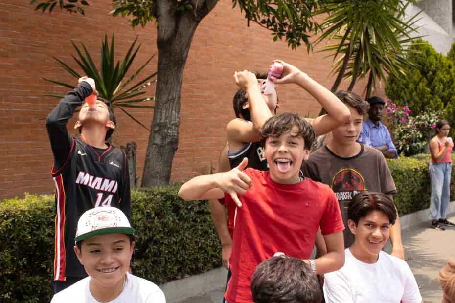 Ir a la Siguiente Foto