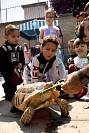3004202430abril2024484.jpg