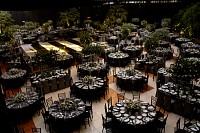 15062024cena_gala_graduacion_6tobach202444.jpg