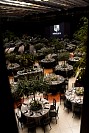 15062024cena_gala_graduacion_6tobach202459.jpg