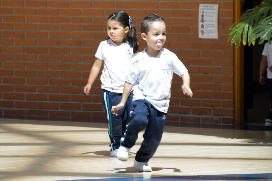 Ir a la Siguiente Foto