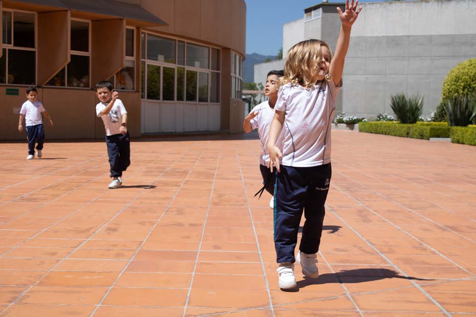 Ir a la Siguiente Foto