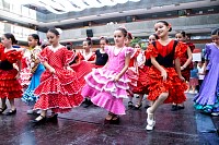 04062024feria_humanidades_primaria2024170.jpg
