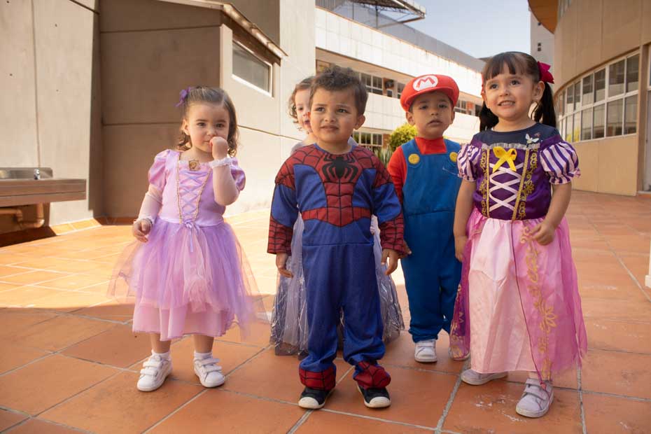 Ir a la Siguiente Foto