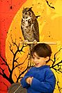 31102023halloween_preescolar2023144.jpg