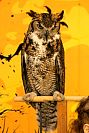 31102023halloween_preescolar2023153.jpg