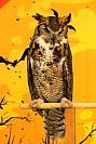 31102023halloween_preescolar2023154.jpg