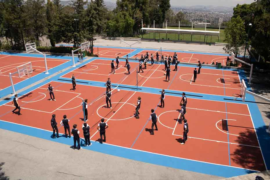 Ir a la Siguiente Foto