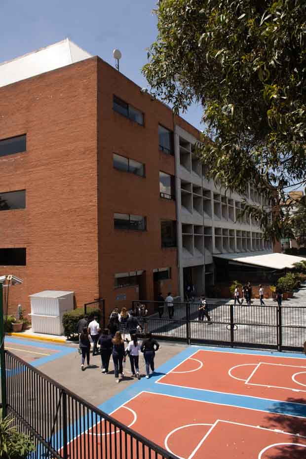 Ir a la Siguiente Foto