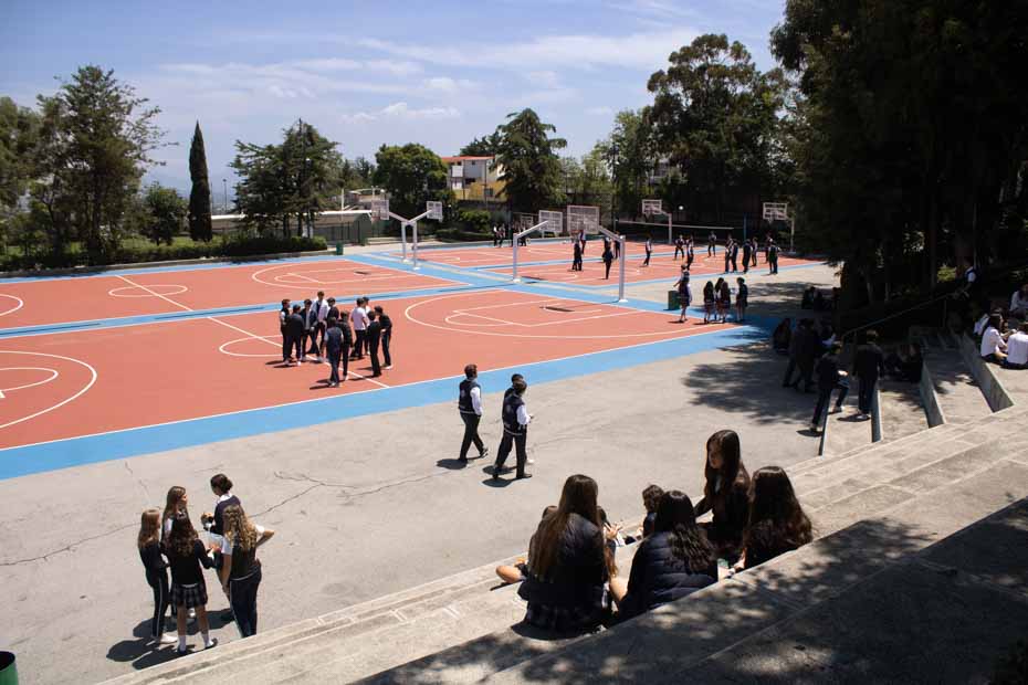 Ir a la Siguiente Foto
