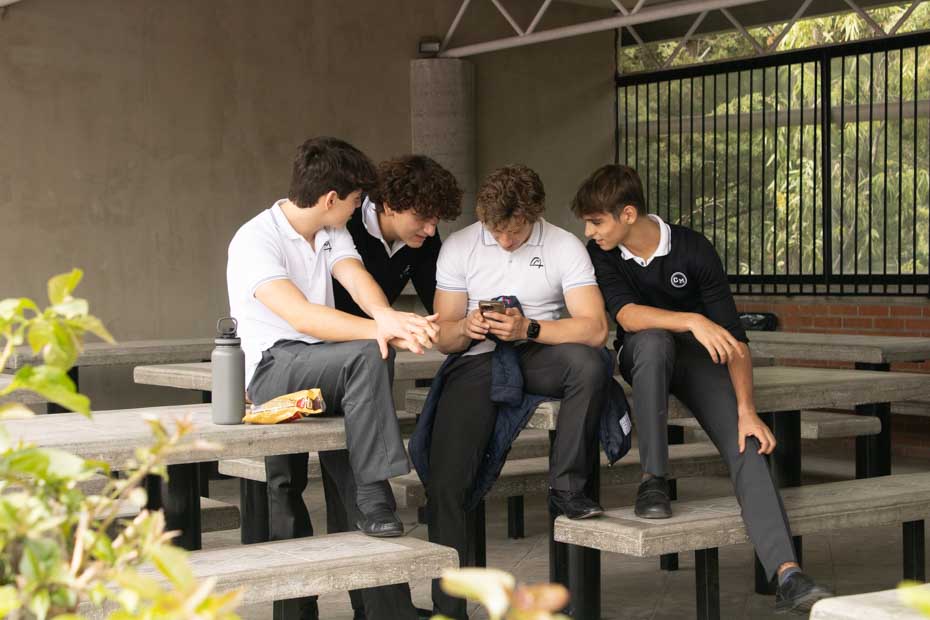 Ir a la Siguiente Foto