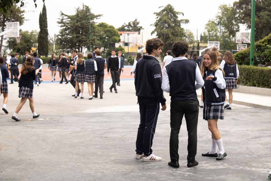 Ir a la Siguiente Foto
