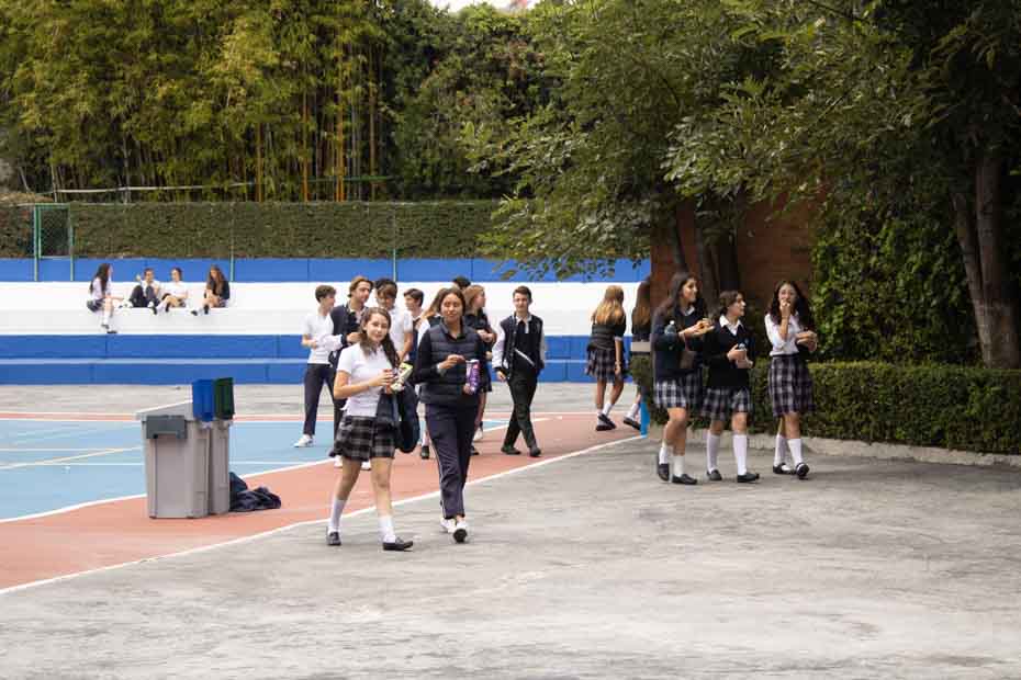 Ir a la Siguiente Foto