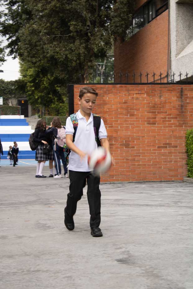 Ir a la Siguiente Foto