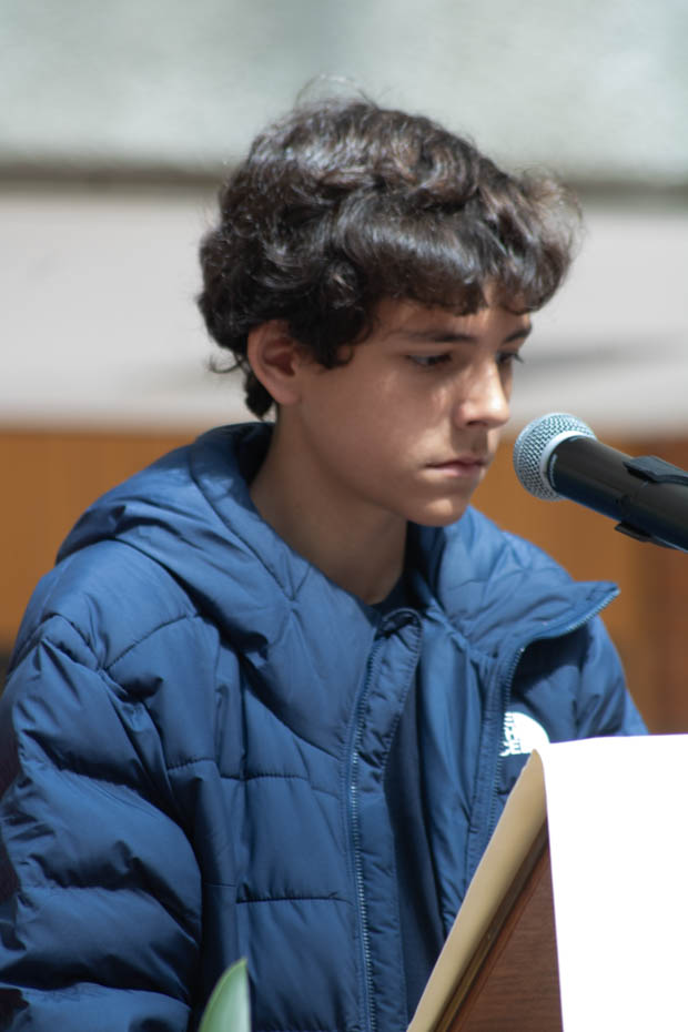 Ir a la Siguiente Foto