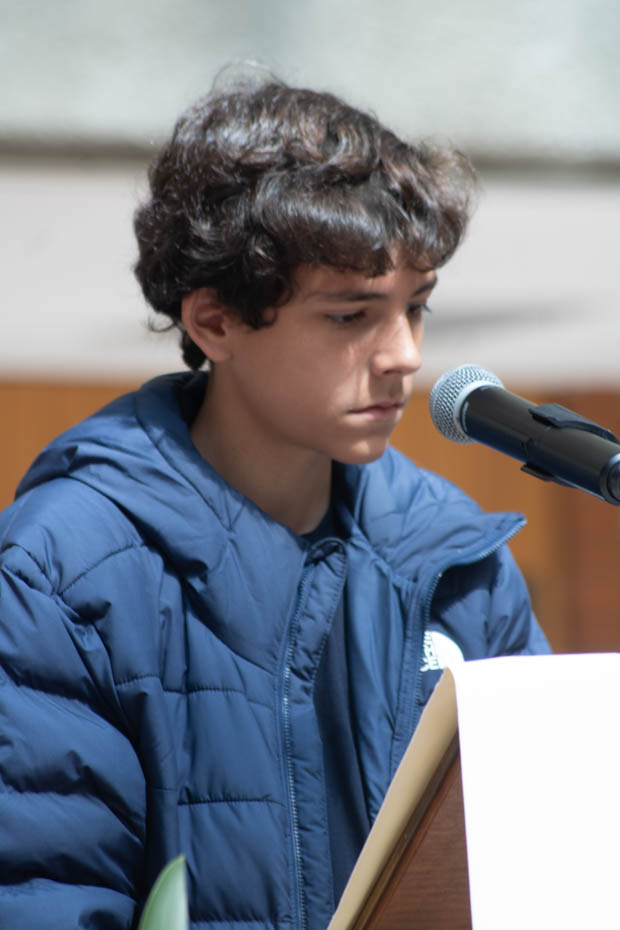 Ir a la Siguiente Foto