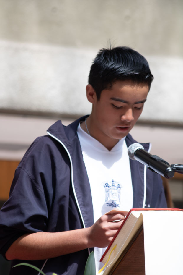 Ir a la Siguiente Foto