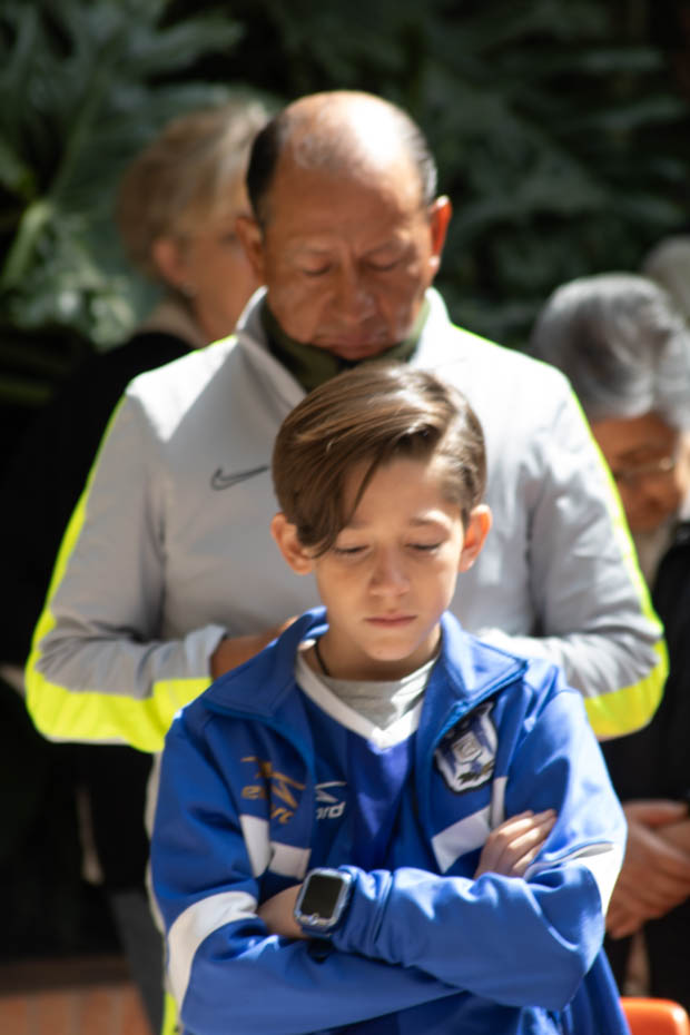 Ir a la Siguiente Foto