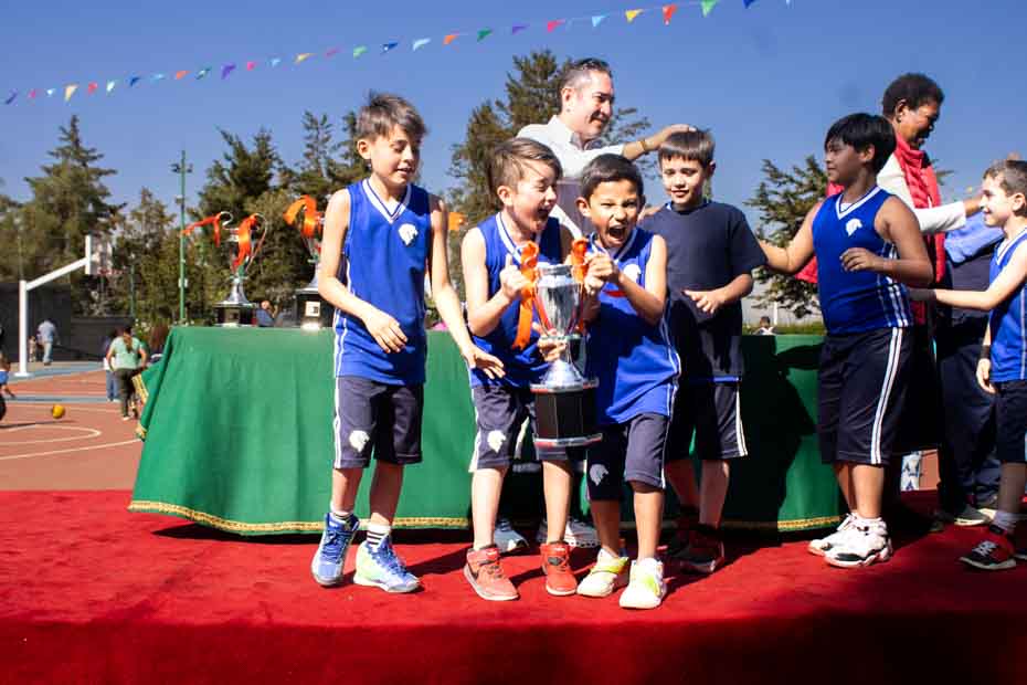 Ir a la Siguiente Foto